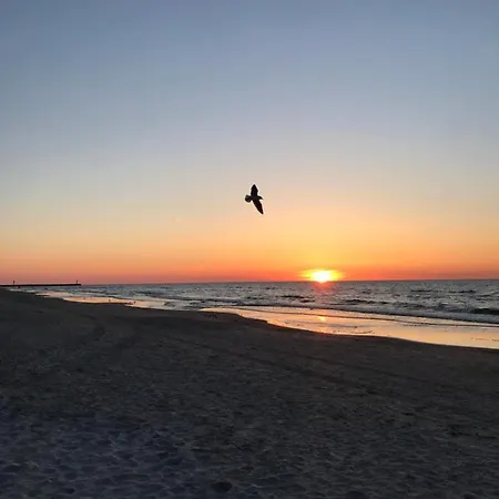 Przy Sosnowym Lesie Dziwnówek