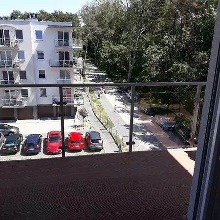 Przy Sosnowym Lesie * Dziwnówek