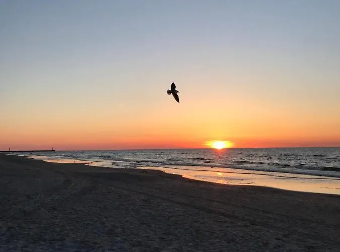 Przy Sosnowym Lesie Dziwnówek