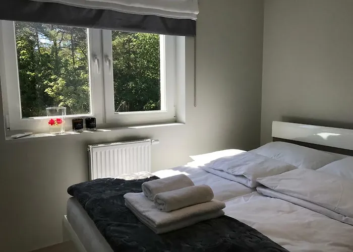 Apartmán Przy Sosnowym Lesie