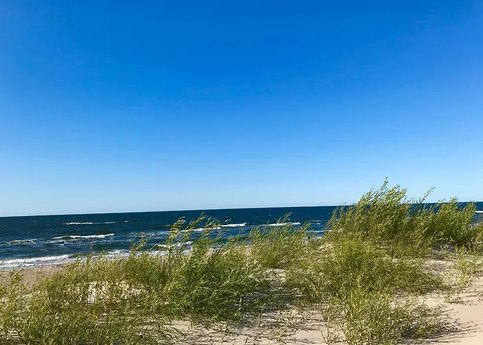 Przy Sosnowym Lesie Apartmán *